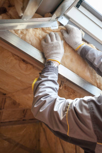 Best Professional Insulation Contractor  in , DC