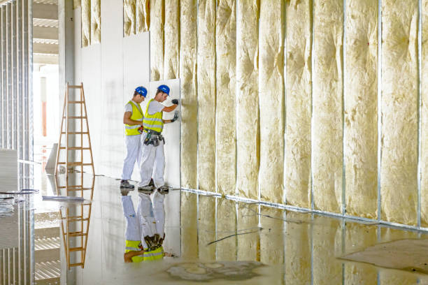 Best Insulation Removal  in , DC